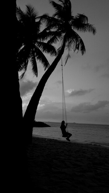 Photo silhouette palm trees on beach against sky