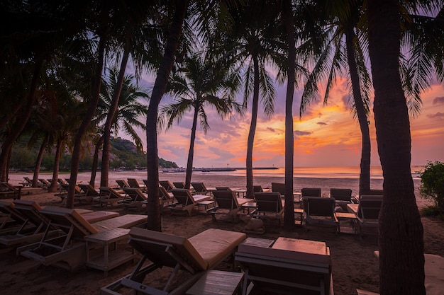 Silhouette of palm trees and beach beds at sunset on the paradise beach in Las Terrenas,Coconut