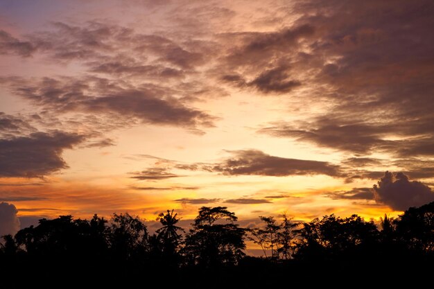 Foto silhouette di palme in un bellissimo tramonto colorato in un campo di riso sull'isola di bali