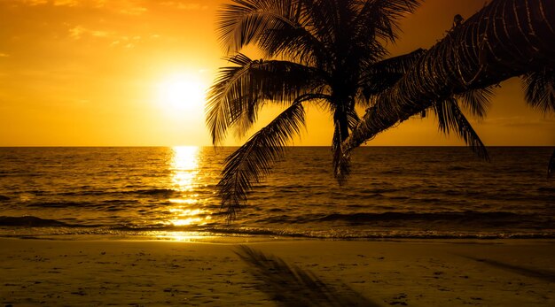 Silhouette of palm trees Beautiful sunset on the tropical sea beach background for travel in holiday relax timexA