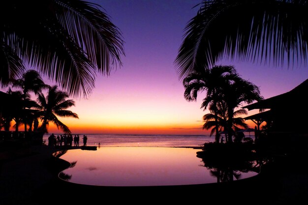 Photo silhouette of palm trees at sunset