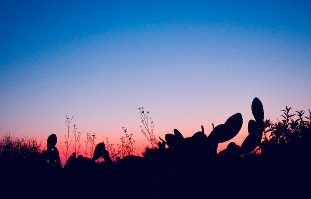 Silhouette people against clear sky during sunset