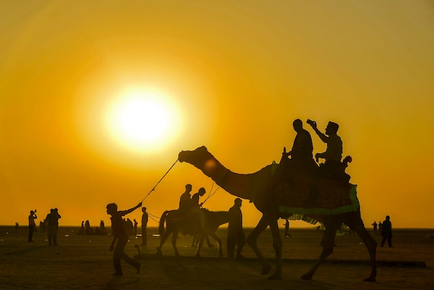 Foto silhouette di persone e animali contro il cielo durante il tramonto