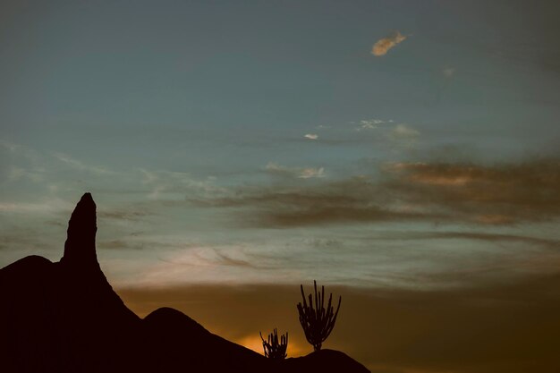 Foto silhouette di una persona contro il cielo durante il tramonto