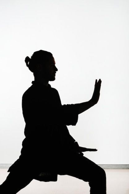 Silhouette of a person practicing qigong energy exercises on a light background