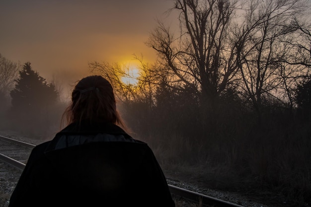 写真 夕暮れの時に裸の木に立っているシルエットの人