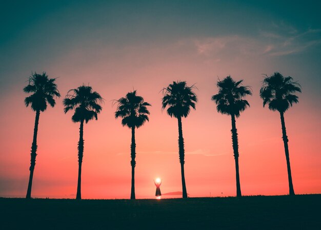 Foto silhouette di una persona in piedi tra le palme contro il cielo durante il tramonto