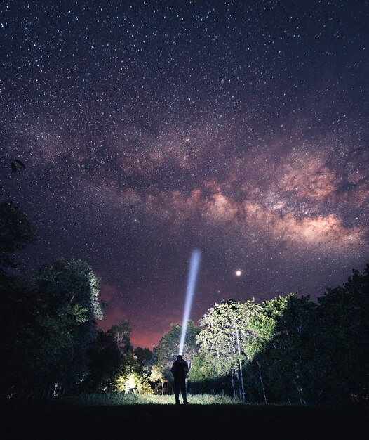 Foto silhouette di una persona in piedi vicino a un albero contro il cielo di notte