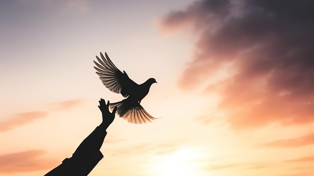 Silhouette pigeon return coming to hands in air