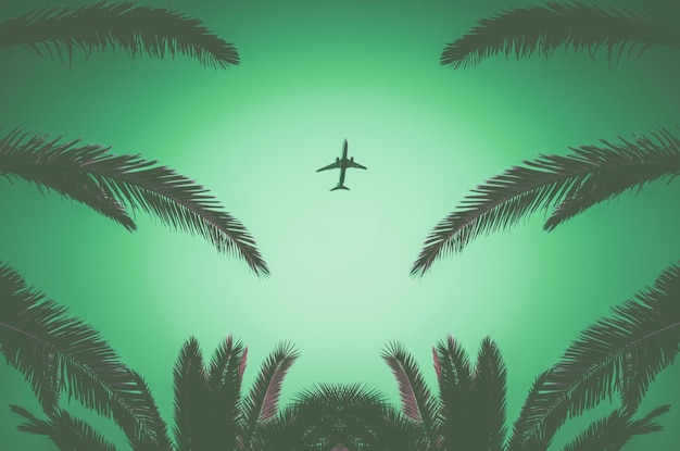 Silhouette of a plane taking off and tropical palm trees on a\
green background. air travel and recreation in tropics.