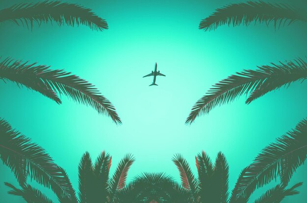 Silhouette of a plane taking off and tropical palm trees on a\
green background. air travel and recreation in tropics.