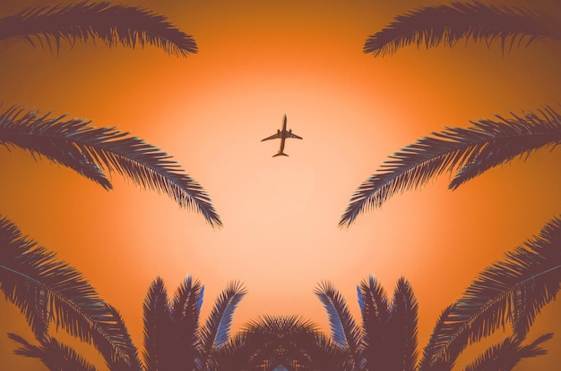 Silhouette of a plane taking off and tropical palm trees on a\
orange background. air travel and recreation in tropics.