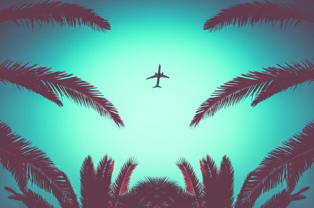 Silhouette of plane taking off and tropical palm trees on\
turquoise background. air travel and recreation in tropics.