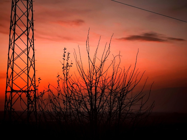 Photo silhouette plants against dramatic sky during sunset