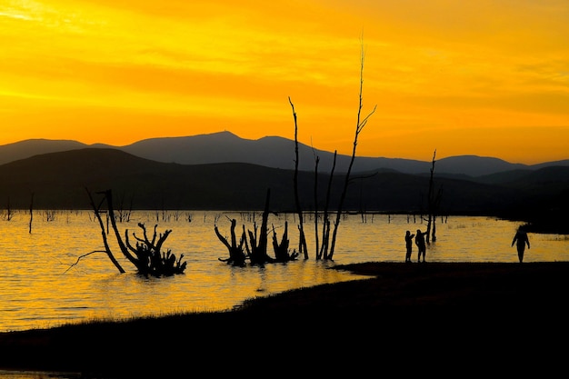 Silhouette plants by lake against sky during sunset