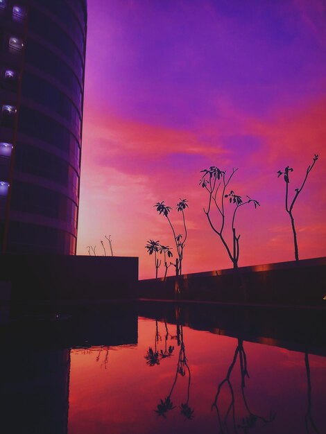 Silhouette plants by lake against sky during sunset