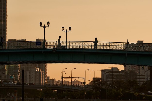 夕方の橋で手をつないで歩くロマンチックなカップルのシルエット 美しい空