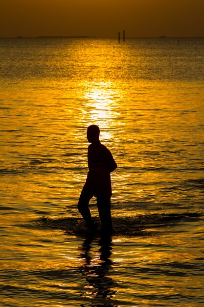 silhouette sea beach