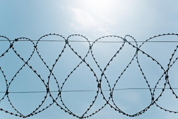 Silhouette of sharp metal barbed wire fence against clear blue\
sky on sunny day fenced protected area