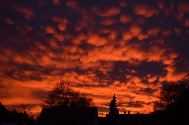 Foto statua a silhouette contro il cielo arancione