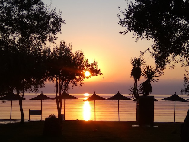 Silhouette of sun umbrella and trees in the beach during sunrise