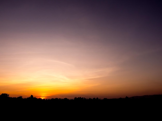 Silhouette sunset over rice field