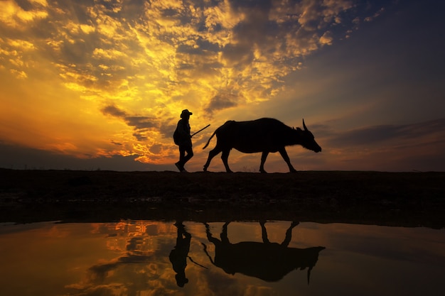 Silhouette sunset with lifestyle countryside