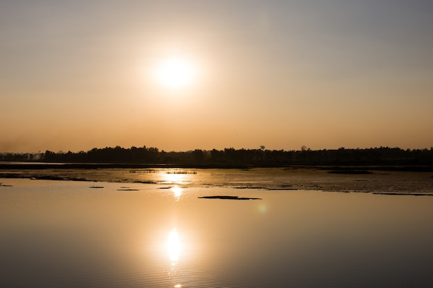 Silhouette swamp with sunset of day.