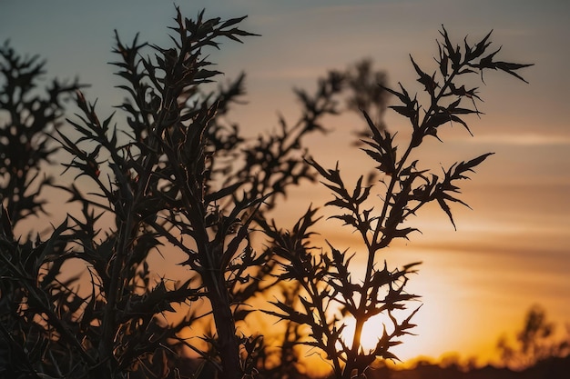 Silhouette takken tegen een zonsondergang hemel