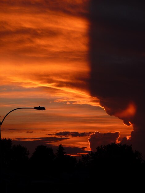 Foto silhouette di un albero contro un cielo nuvoloso