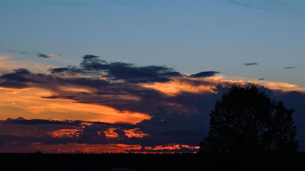silhouette of tree against dramatic sky during sunset