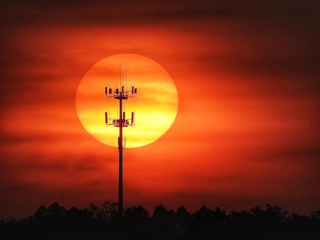 Foto silhouette di albero contro il cielo arancione