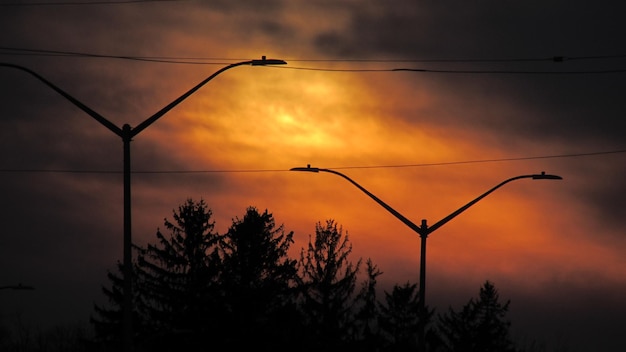 Photo silhouette tree against orange sky