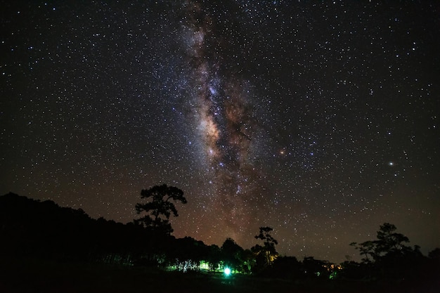밤 하늘에 나무와 아름다운 은하수의 실루엣 곡물과 긴 노출 사진