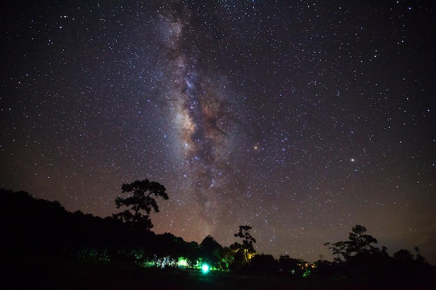 木のシルエットと夜空に美しい天の川 長時間露光写真