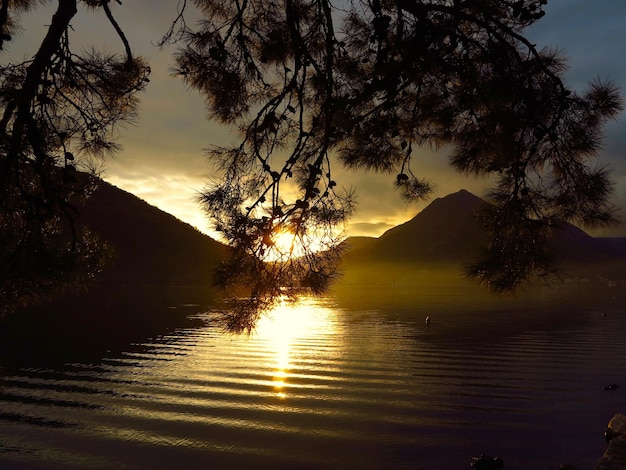 Silhouette tree by lake against sky during sunset