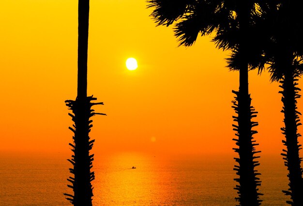 Silhouette tree by sea against orange sky