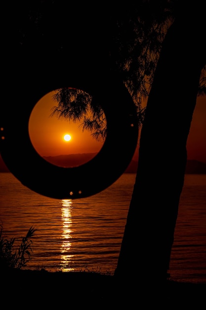 Foto silhouette di un albero sul mare contro il cielo durante il tramonto