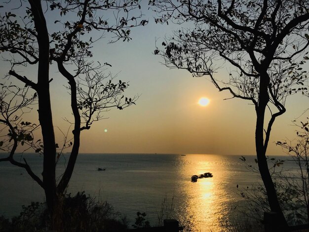 Silhouette tree by sea against sky during sunset