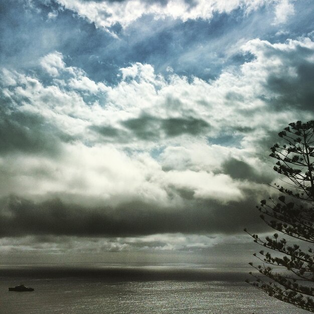 Foto silhouette di un albero sul mare contro il cielo