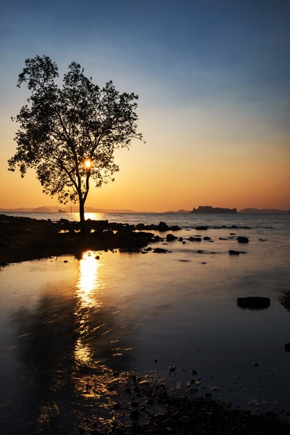 Photo silhouette tree and motion wave and reflection at sunset of koh kwang island in krabi, thailand. famous travel destination for summer holiday vacation of siam. motion seascape in vertical view.