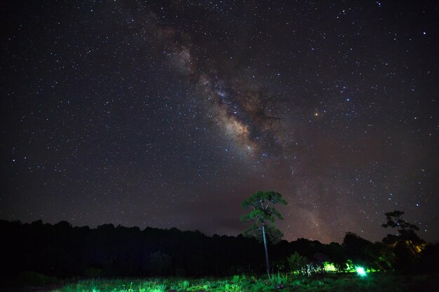 夜空に雲と美しい天の川がある木のシルエット長時間露光写真