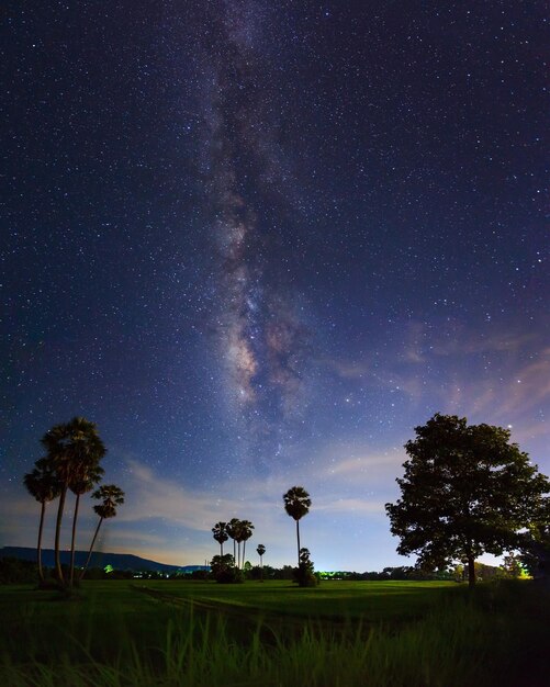 Silhouette of Tree with cloud and Milky Way Long exposure photograph
