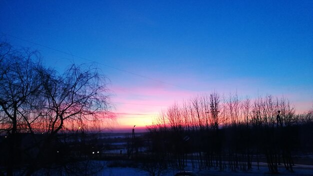 Silhouette trees against blue sky during sunset