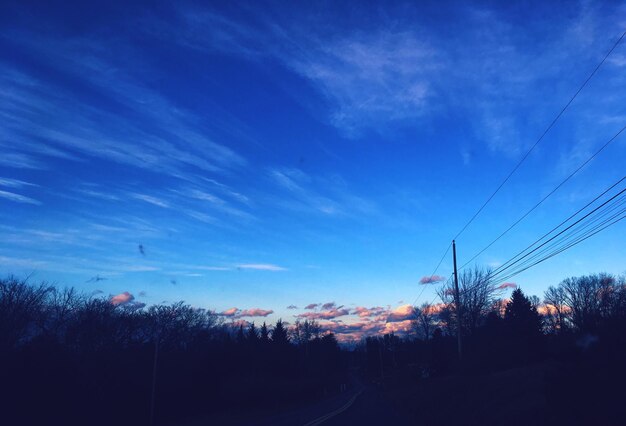 Silhouette trees against blue sky