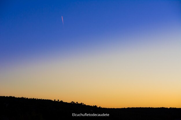 Silhouette trees against clear sky during sunset