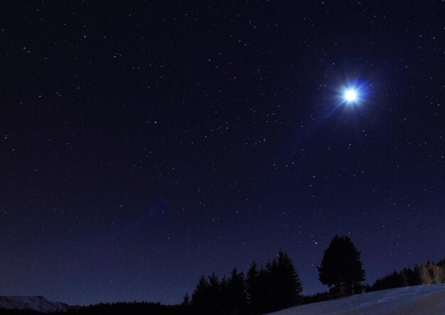 Foto silhouette di alberi contro un cielo limpido di notte