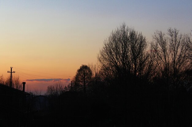 Silhouette trees against clear sky at sunset