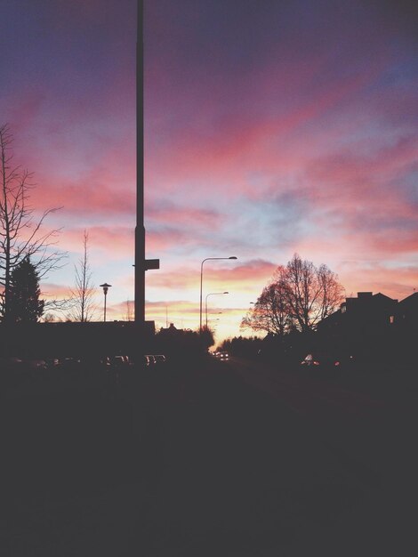 Foto silhouette di alberi contro un cielo nuvoloso al tramonto