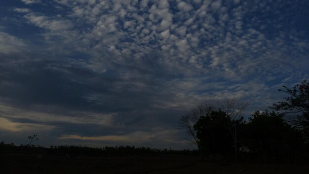 Silhouette of trees against cloudy sky